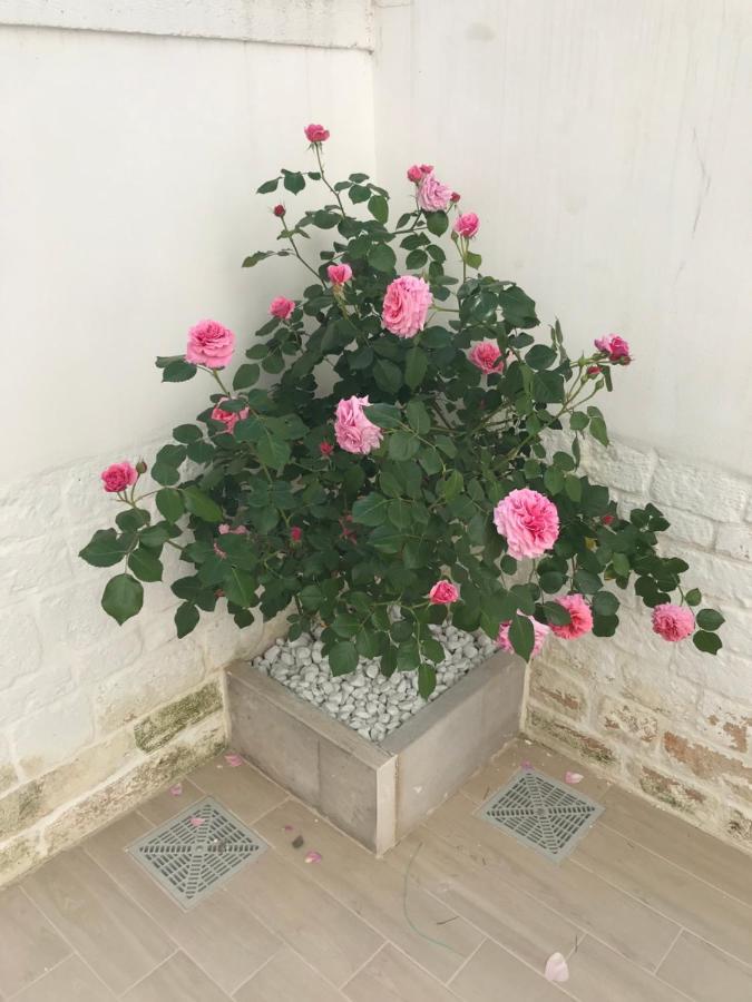Nido Di Pietra-Dimora In Centro Bed & Breakfast อัลเบโรเบลโล ภายนอก รูปภาพ